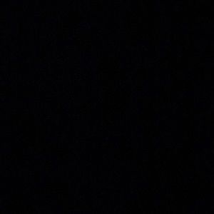 Meet your Posher, Bryant